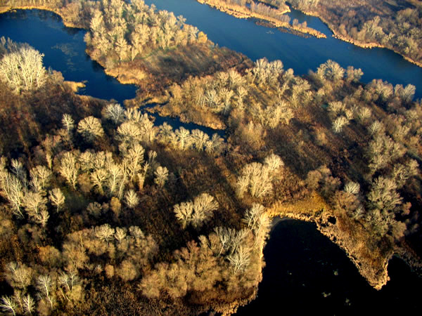 р. Псел 25.11.2006