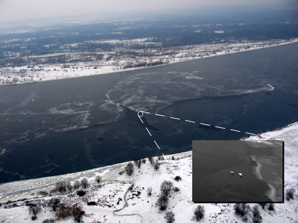 Лебеди 04.02.2007
