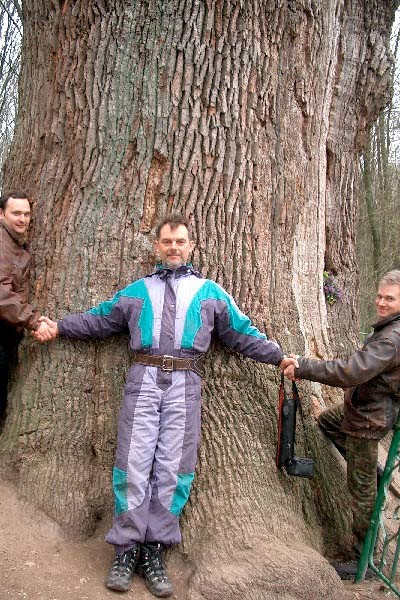 Чигирин 2004. Возле тысячелетнего дуба