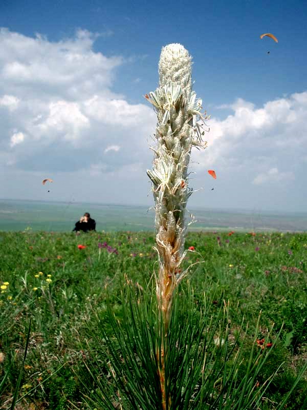 Крым. 1-4 Мая 2004