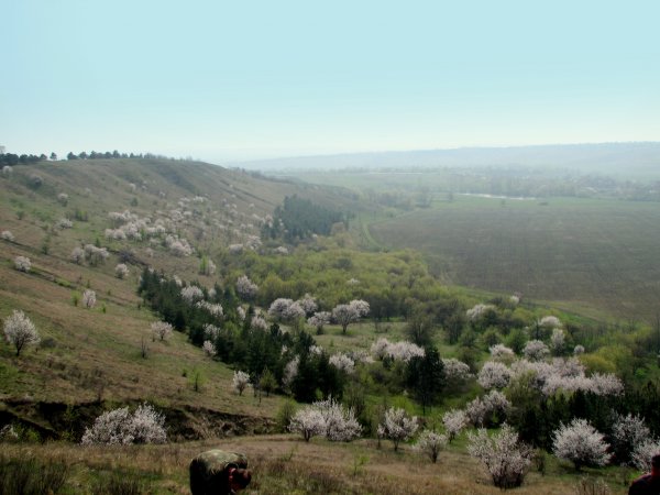Млынок 12.04.2008
