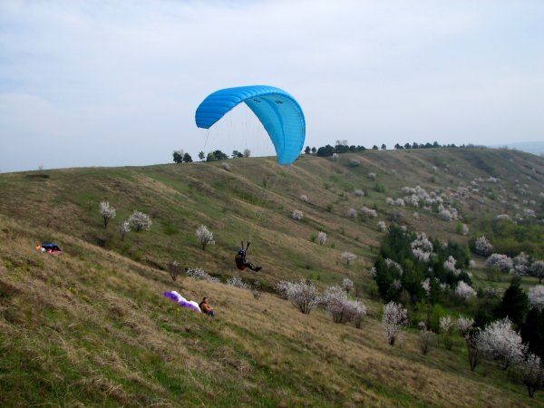 Млынок 12.04.2008