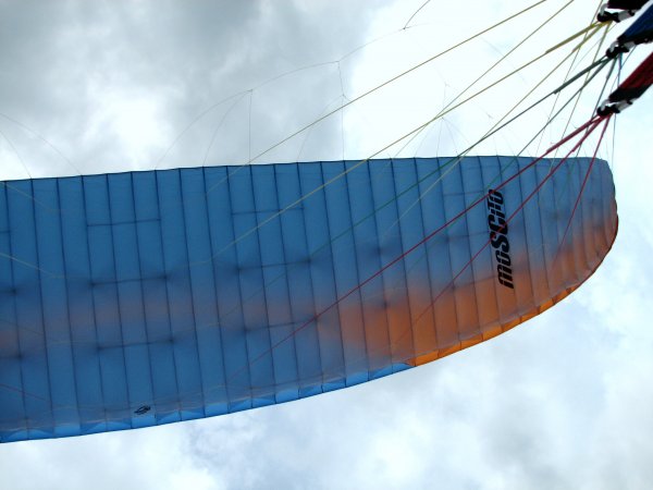 MoSCito